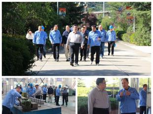 (gu)ϺܿƼ˾I(lng)(do)һWRˮ呉F(tun)콻